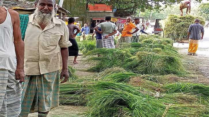 টাঙ্গাইলের ভূঞাপুরে গো-খাদ্যের হাট 