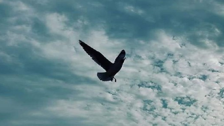 যেখানে প্রভুর রঙ যেখানে প্রভুর রঙ