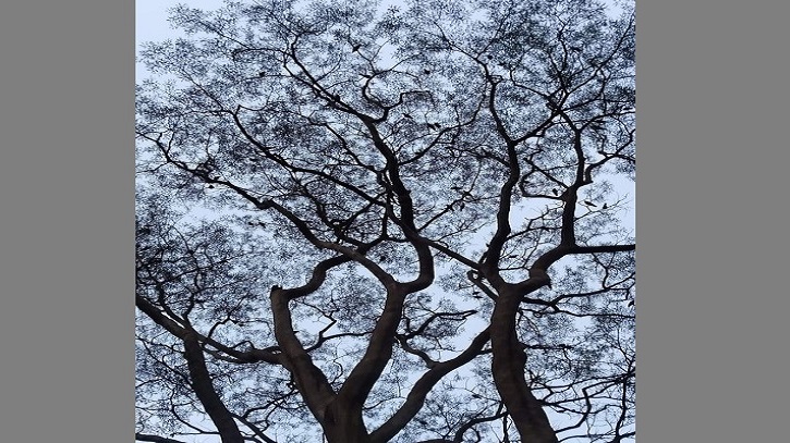 বালিকার সূর্যযান বালিকার সূর্যযান
