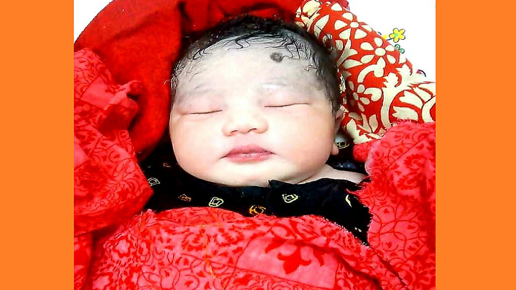 ---সূর্যমুখী----- ---সূর্যমুখী-----