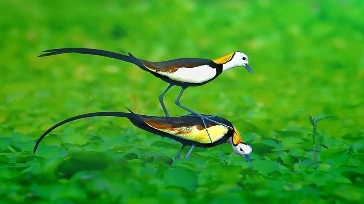 প্রেমের গল্প প্রেমের গল্প
