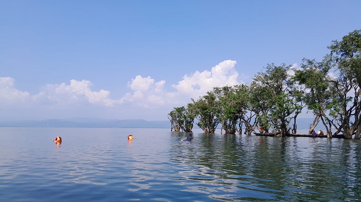 প্রকৃতির সৌন্দর্যে ভরপুর টাঙ্গুয়ার হাওর