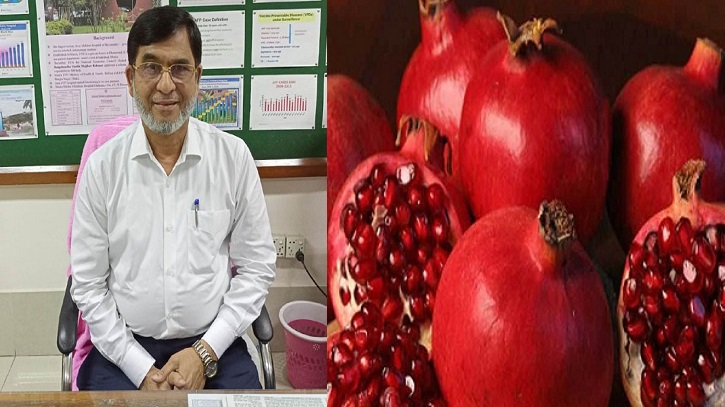 বেদেনায় রয়েছে নানা স্বাস্থ্যগুণ: ডা. জাহাঙ্গীর আলম বেদেনায় রয়েছে নানা স্বাস্থ্যগুণ: ডা. জাহাঙ্গীর আলম