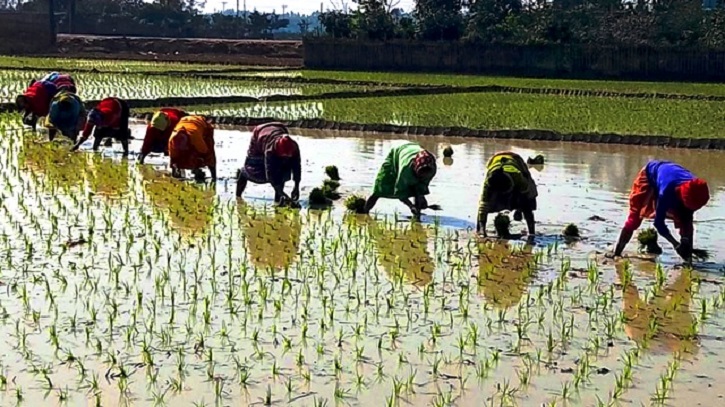 ক্ষুদ্র নৃ-গোষ্ঠীর নারী কৃষি শ্রমিকরা মজুরি বৈষম্যের শিকার ক্ষুদ্র নৃ-গোষ্ঠীর নারী কৃষি শ্রমিকরা মজুরি বৈষম্যের শিকার