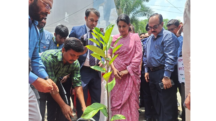 ১ লক্ষ চারাগাছ রোপণের উদ্বোধন করলেণ  উপদেষ্টা রিজওয়ানা