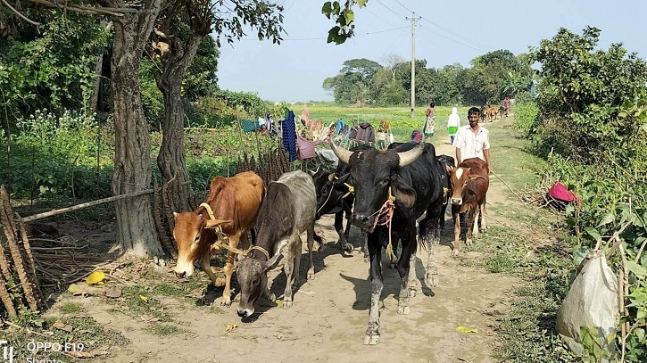 মধ্যনগর সীমান্ত চোরাচালানিদের স্বর্গরাজ্য মধ্যনগর সীমান্ত চোরাচালানিদের স্বর্গরাজ্য