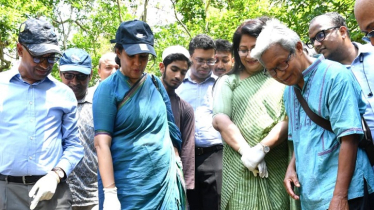 শালবন বাঁচাতে পরিবেশ উপদেষ্টার একগুচ্ছ ঘোষণা