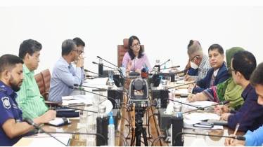 কনক্রিট অ্যাকশন প্ল্যান করা হবে: রিজওয়ানা 