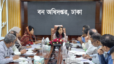বনভূমি উন্নয়নে ব্যাপক কর্মপরিকল্পনা গ্রহণ করবে সরকার 