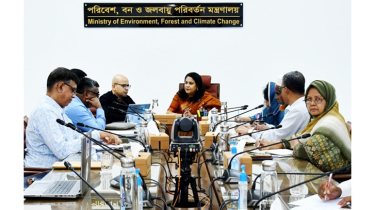 প্রযুক্তি নির্ভর বন নজরদারিতে যাচ্ছে বাংলাদেশ: রিজওয়ানা