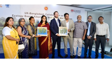খাদ্য নিরাপত্তা নিশ্চিতে হাওরের উন্নয়ন করা হচ্ছে: রিজওয়ানা খাদ্য নিরাপত্তা নিশ্চিতে হাওরের উন্নয়ন করা হচ্ছে: রিজওয়ানা