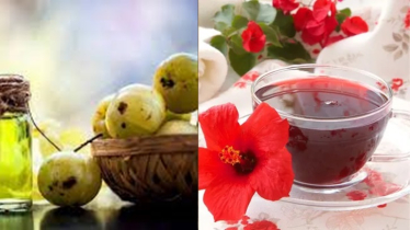 আমলা ও জবা: চুলের সৌন্দর্যে দুই অনন্য সহচর