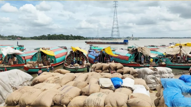 ‎আশুগঞ্জে ধানের মোকামে বাড়ছে সরবরাহ, কমছে দাম