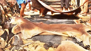 কুরবানির চামড়ার দাম নির্ধারণ