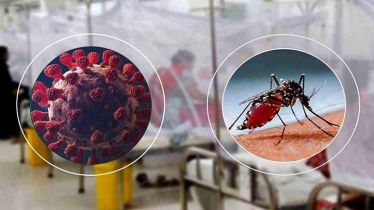 জুনে করোনায় ২২ এবং ডেঙ্গুতে ১৯ জনের মৃত্যু