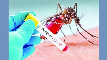 ডেঙ্গুতে আরও দুই জনের মৃত্যু, আক্রান্ত ১৯৫