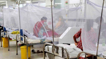 ডেঙ্গুতে আরও একজনের মৃত্যু, হাসপাতালে ৩৫২