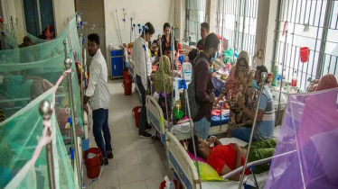 ডেঙ্গুতে আরও ৩ জনের মৃত্যু, হাসপাতালে ভর্তি ৪২৫