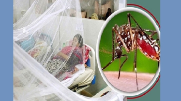 চলতি বছর ডেঙ্গুতে আক্রান্ত ২ লাখ ছাড়াল