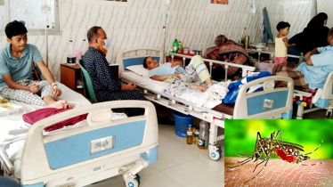 ডেঙ্গুতে আরও ১৯ মৃত্যু