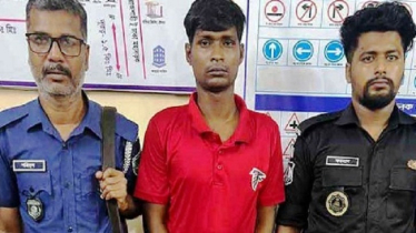 ট্রাকের ধাক্কায় মাইক্রোবাসের ৮ যাত্রী নিহত: চালক গ্রেপ্তার 