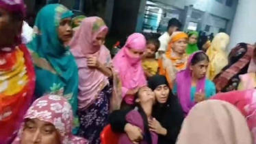 বগুড়ায় বউ-শাশুড়িকে গলা কেটে হত্যা, ননদ গুরুতর আহত