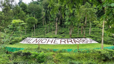 ঘুরে আসা যাক চায়ের দেশ মালনীছড়া