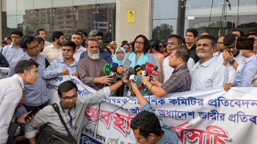 এনবিআর ভাগের অধ্যাদেশ: বাতিল চেয়ে কলম বিরতির ডাক