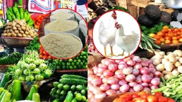 বেড়েছে ডিমের দাম, কমেছে মুরগির