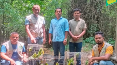 মিরপুর পাখির হাটে অভিযান: ৬১টি পাখি ও ২টি কচ্ছপ উদ্ধার