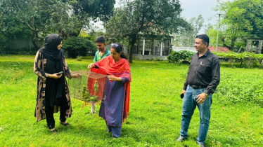 ঠাকুরগাঁও সীমান্তে পাচারকালে ছয়টি টিয়া পাখি জব্দ. আটক ৩