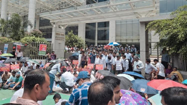 এনবিআর শাটডাউনে দেশজুড়ে আমদানি-রপ্তানি অচল
