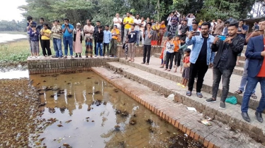 বাগেরহাটে নিখোঁজ ভ্যানচালকের মরদেহ উদ্ধার
