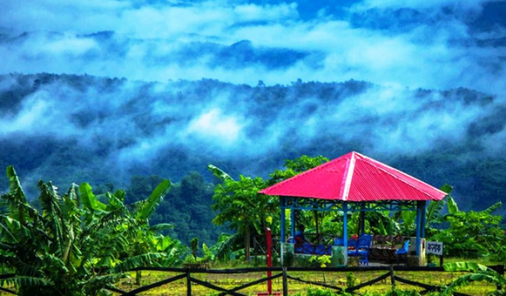 ঘুরে আসুন মেঘের রাজ্য সাজেক