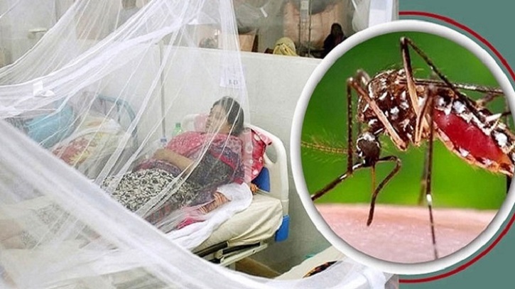 ডেঙ্গুতে একজনের মৃত্যু, হাসপাতালে ৩৯১ ডেঙ্গুতে একজনের মৃত্যু, হাসপাতালে ৩৯১