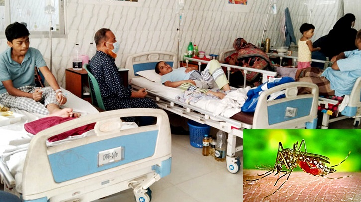 চলতি বছর ৯ মাসে ডেঙ্গুতে মৃত্যু হাজার ছুঁই ছুঁই চলতি বছর ৯ মাসে ডেঙ্গুতে মৃত্যু হাজার ছুঁই ছুঁই