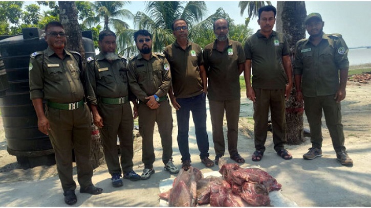 সুন্দরবনে চিত্রা হরিণের ৪২ কেজি মাংস জব্দ সুন্দরবনে চিত্রা হরিণের ৪২ কেজি মাংস জব্দ