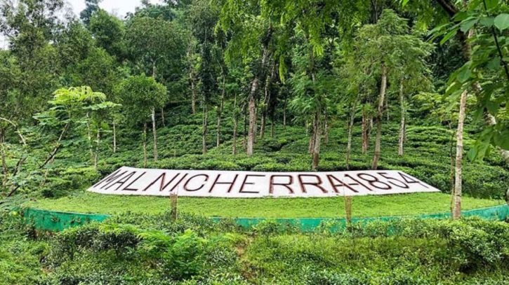 ঘুরে আসা যাক চায়ের দেশ মালনীছড়া ঘুরে আসা যাক চায়ের দেশ মালনীছড়া