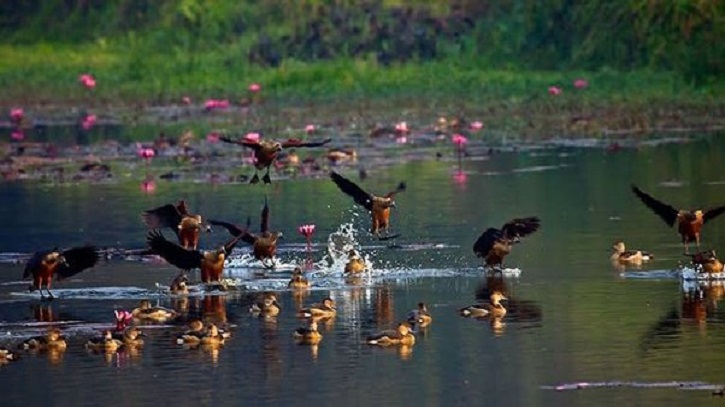 জাবি ক্যাম্পাসে শীতের অপার সৌন্দর্য