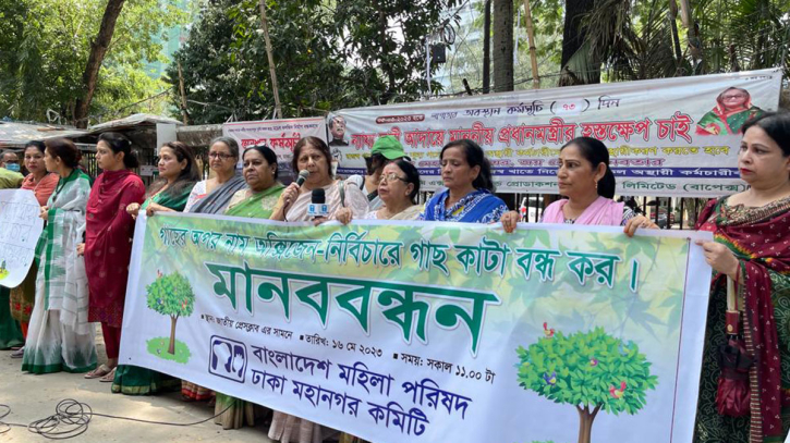 উন্নয়নের নামে গাছ উজাড় গণবিরোধী নীতি উন্নয়নের নামে গাছ উজাড় গণবিরোধী নীতি