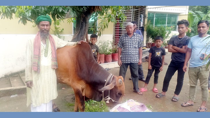 এমপি সুমনকে গরু উপহার দিলেন ভক্ত এমপি সুমনকে গরু উপহার দিলেন ভক্ত